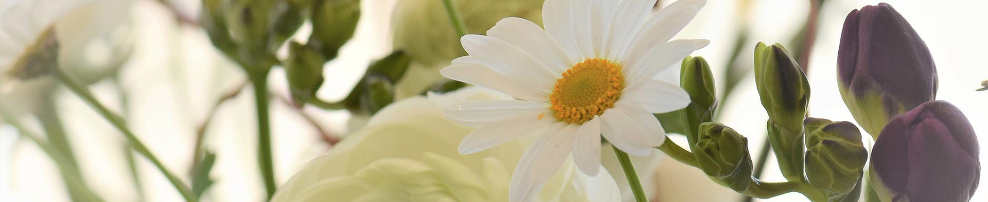 ATELIER PRIVE CREATION FLORAL